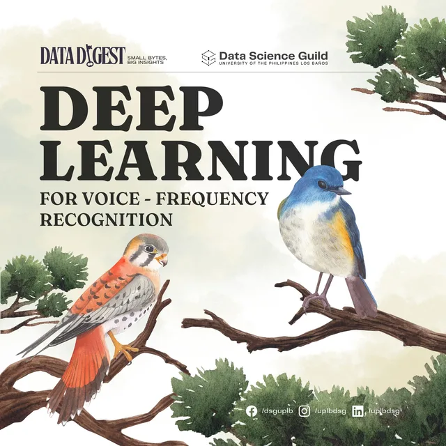 Deep Learning for Voice-Frequency Recognition Data Digest cover with painted birds