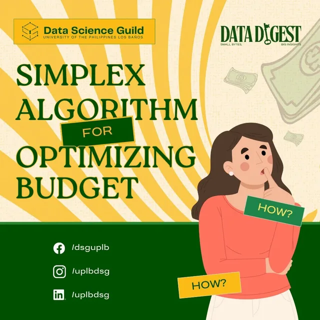 Simplex Algorithm for Optimizing Budget Data Digest cover